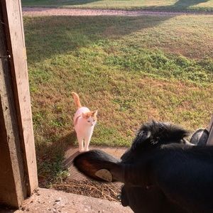 Meet your Posher, Maddie